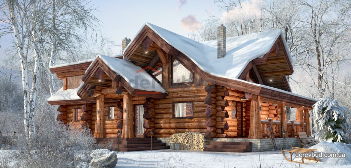 derevbudalternativa_vid_1-1170x560.png.jpg