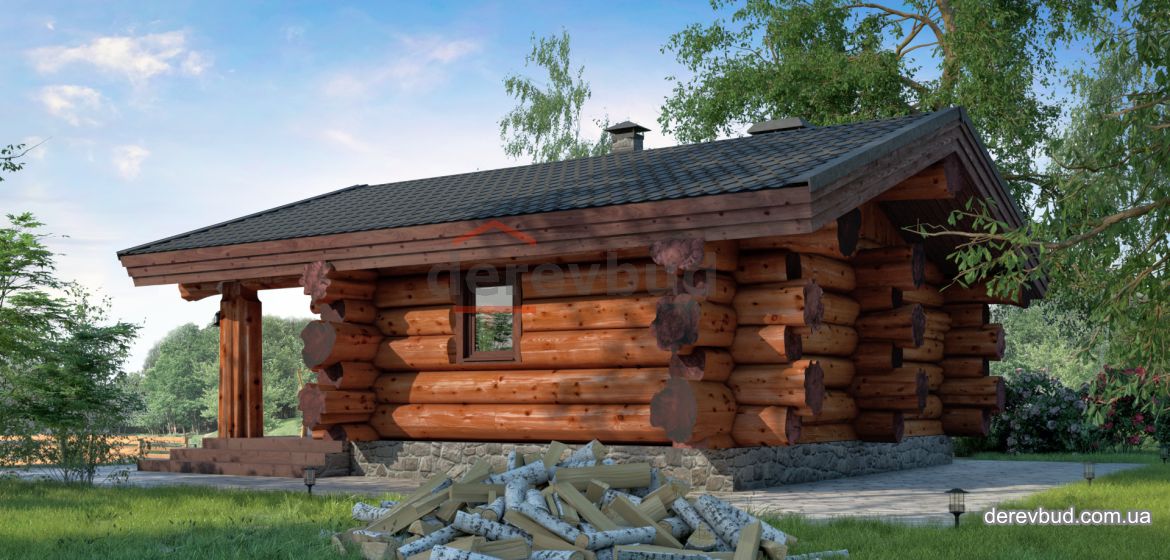derevbuddrevo_6-1170x560-1.png.jpg